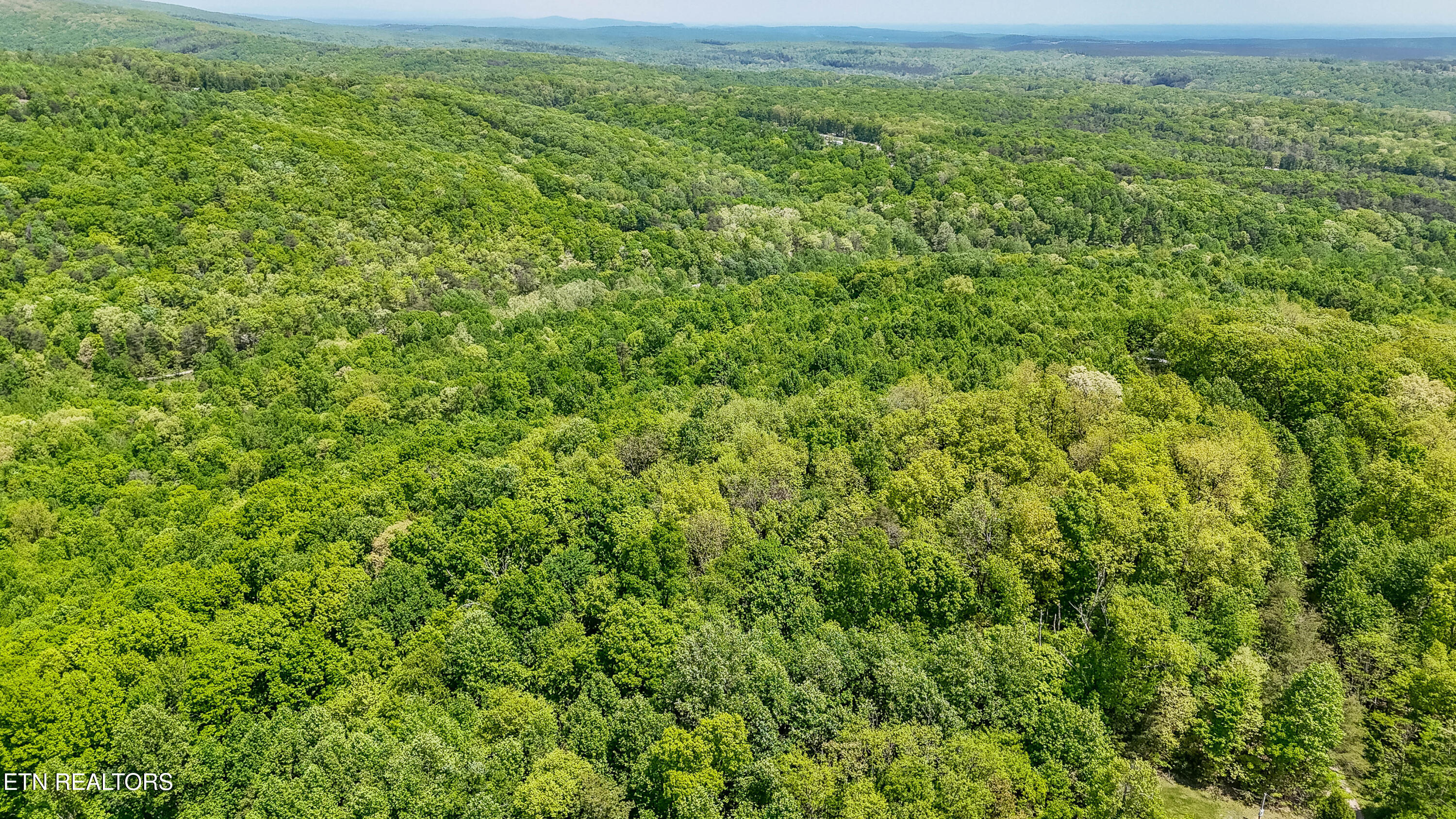 1867 Big Ridge Road Spring City, TN 37381 - Photo 3 of 40 1473 Pine Grove Rd-10