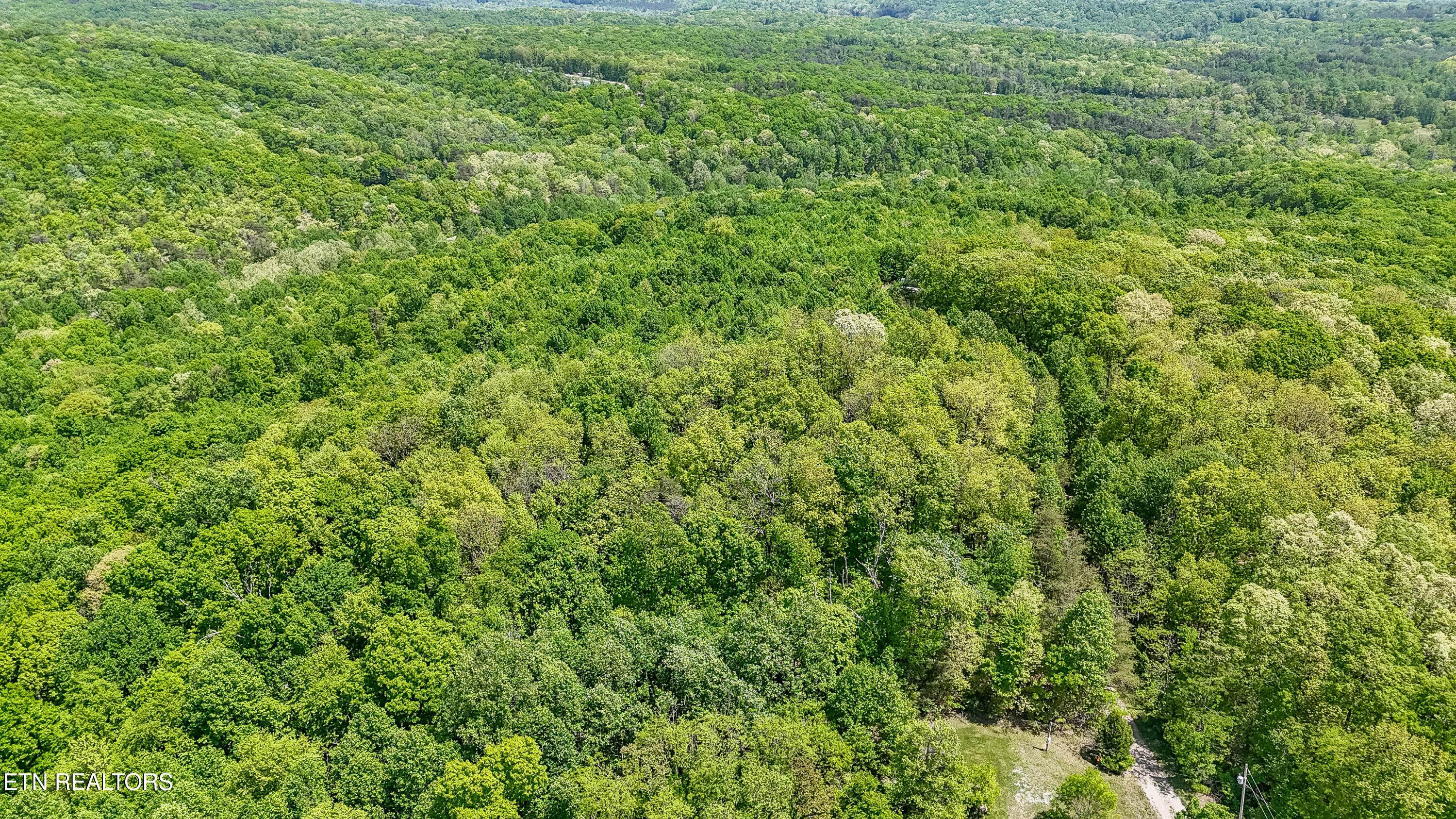 1867 Big Ridge Road Spring City, TN 37381 - Photo 35 of 40 1473 Pine Grove Rd-9