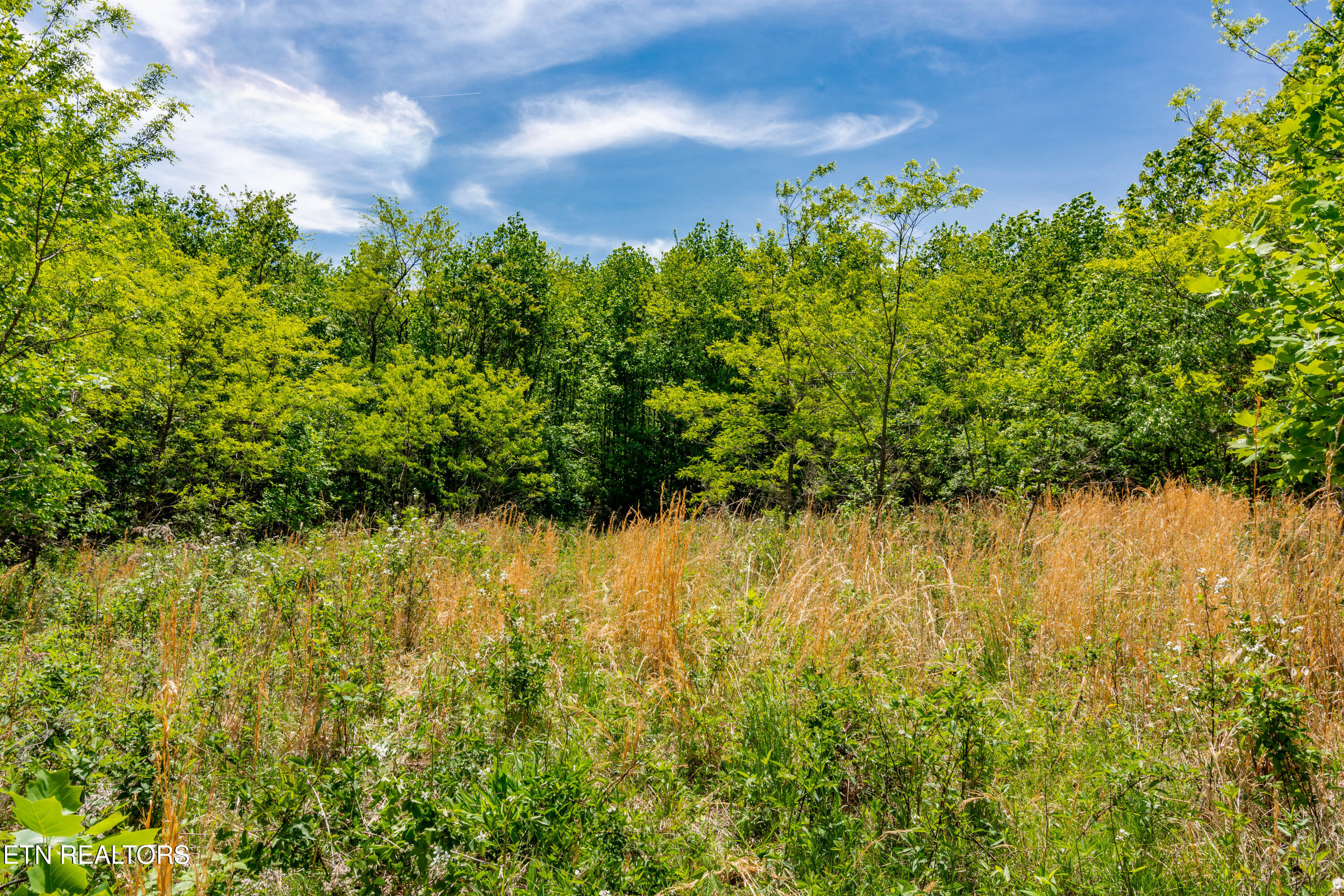 1867 Big Ridge Road Spring City, TN 37381 - Photo 4 of 40 1473 Pine Grove Rd-17