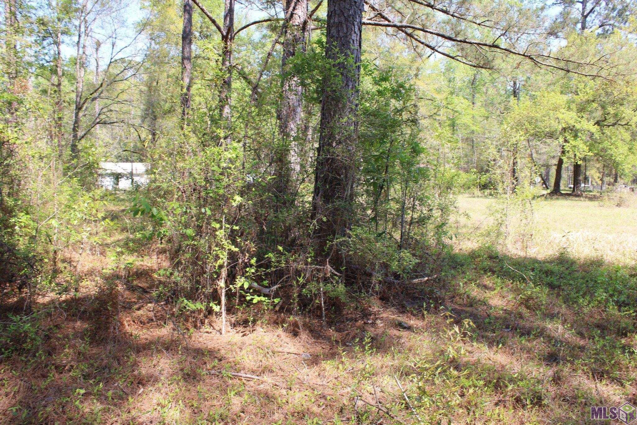 0 Breland Road South Bogalusa, LA 70427 - Photo 13 of 22