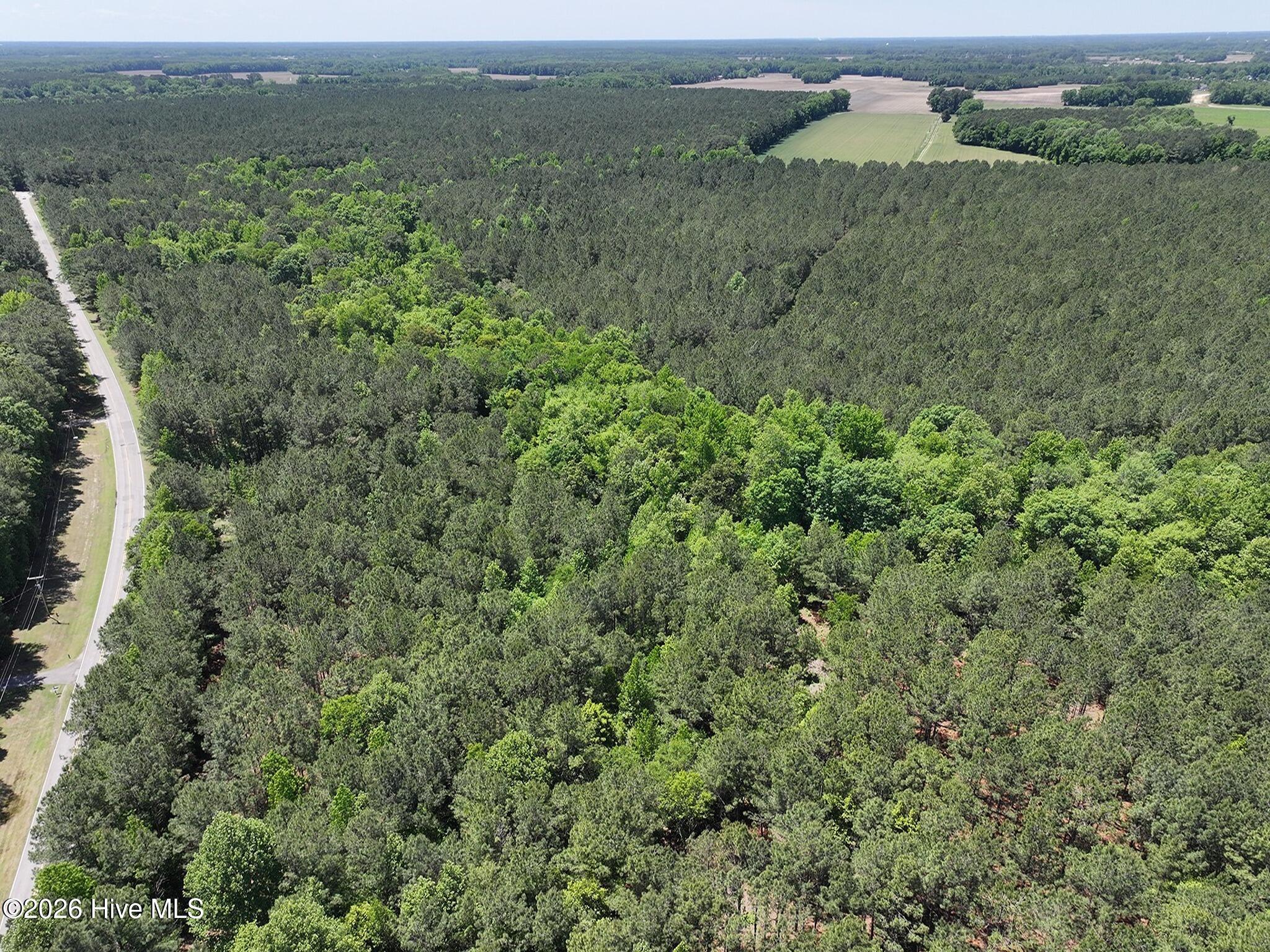 0 Tartt's Mill Road Wilson, NC 27893 - Photo 13 of 23 dji_fly_20260508_124718_0704_17783328300