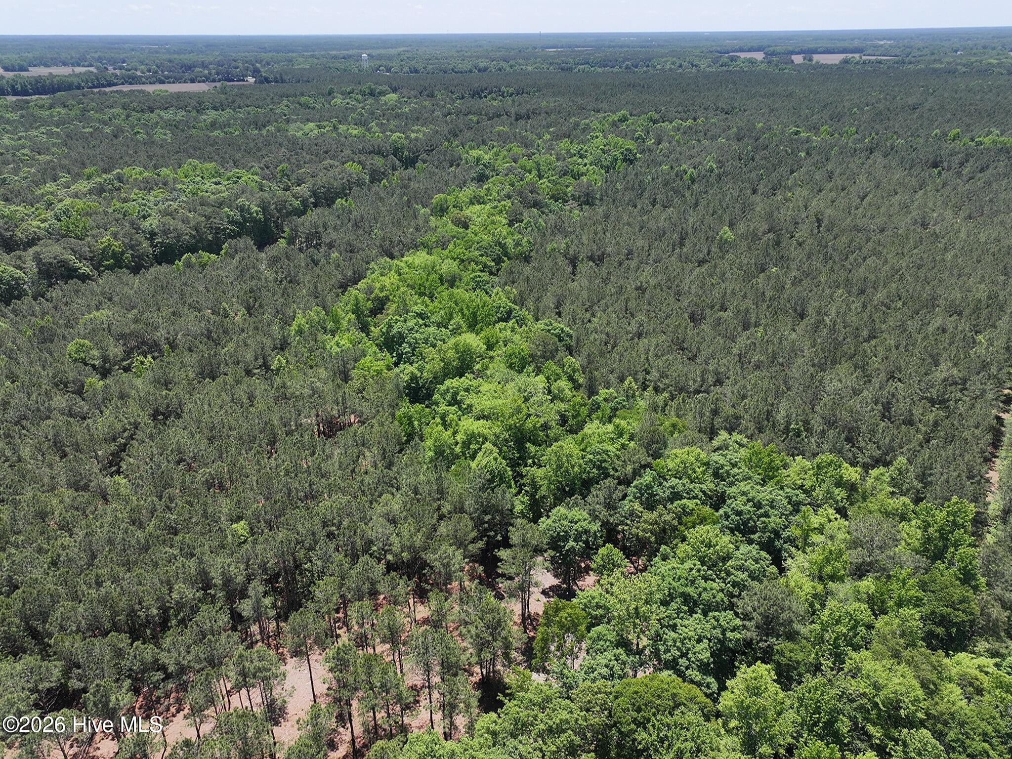 0 Tartt's Mill Road Wilson, NC 27893 - Photo 14 of 23 dji_fly_20260508_124734_0705_17783328313