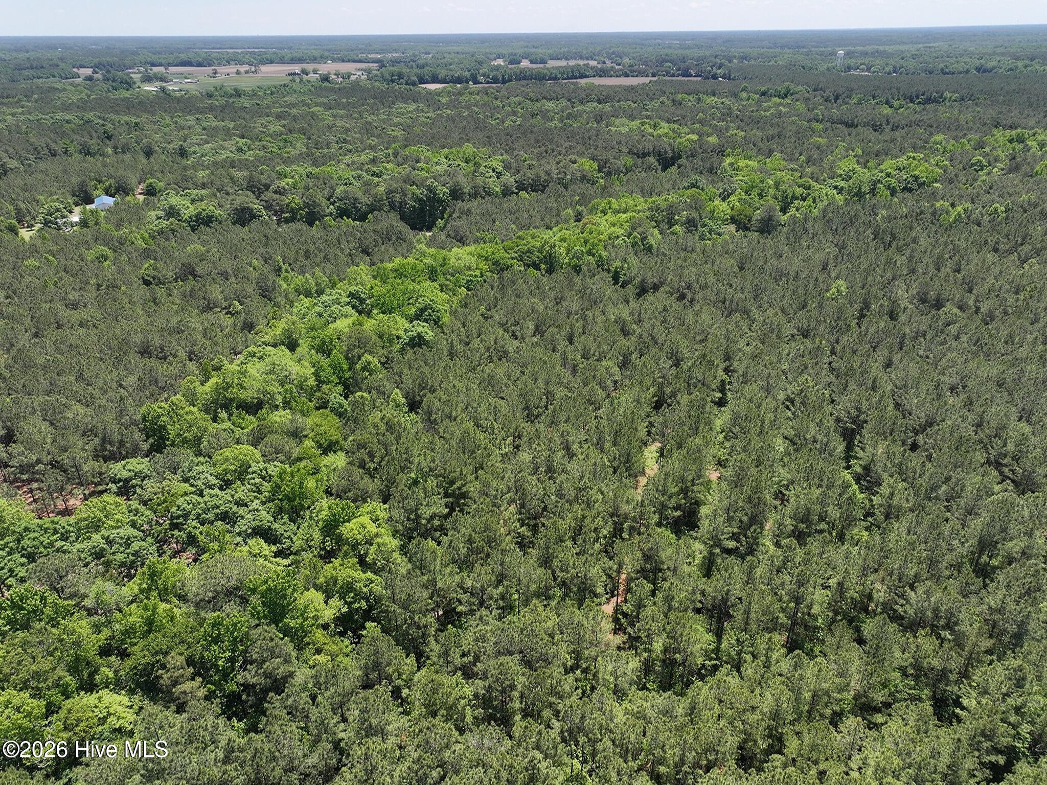 0 Tartt's Mill Road Wilson, NC 27893 - Photo 15 of 23 dji_fly_20260508_124750_0706_17783328306