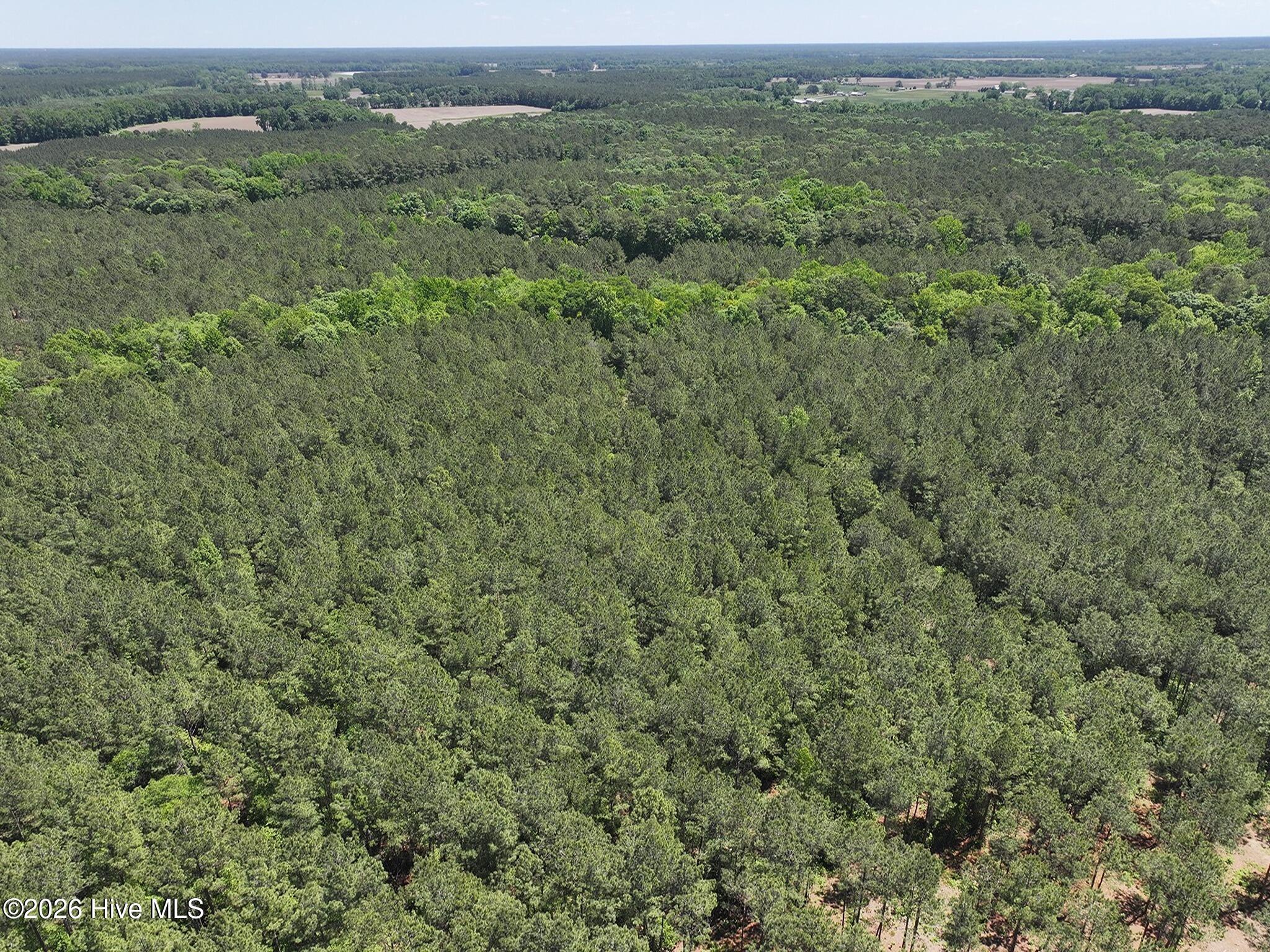 0 Tartt's Mill Road Wilson, NC 27893 - Photo 16 of 23 dji_fly_20260508_124808_0707_17783328277