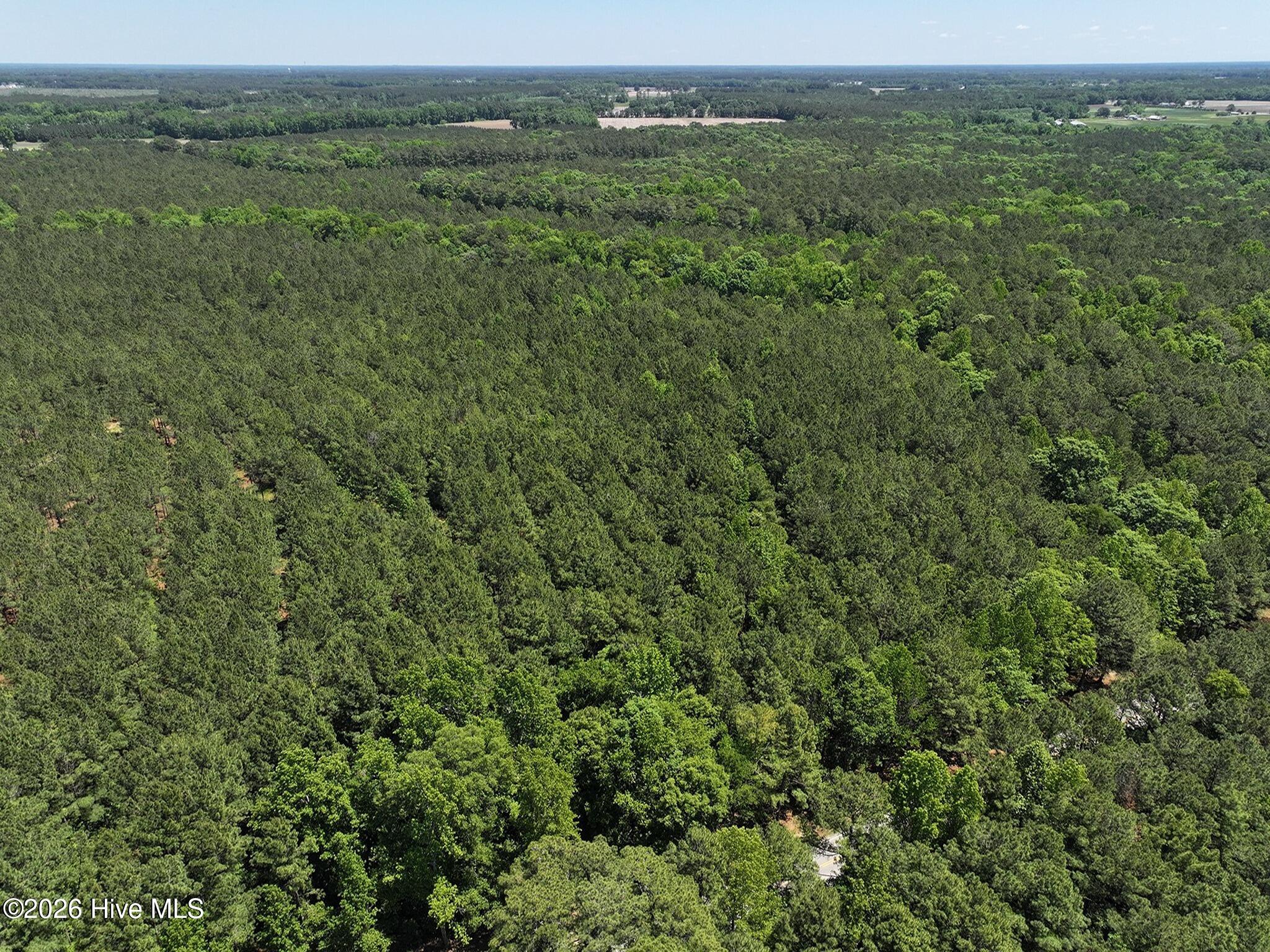 0 Tartt's Mill Road Wilson, NC 27893 - Photo 17 of 23 dji_fly_20260508_124836_0708_17783328272