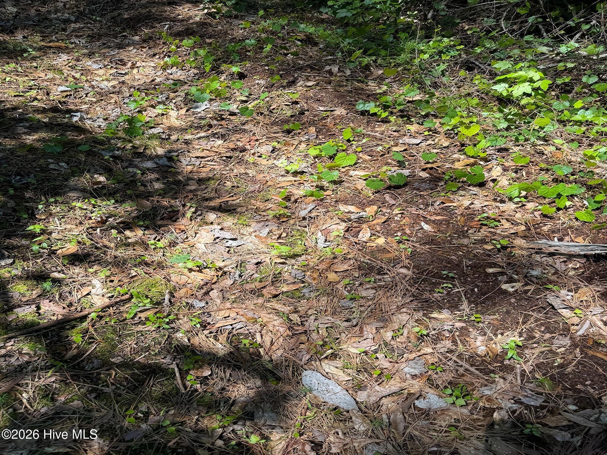 0 Tartt's Mill Road Wilson, NC 27893 - Photo 21 of 23 IMG_2577
