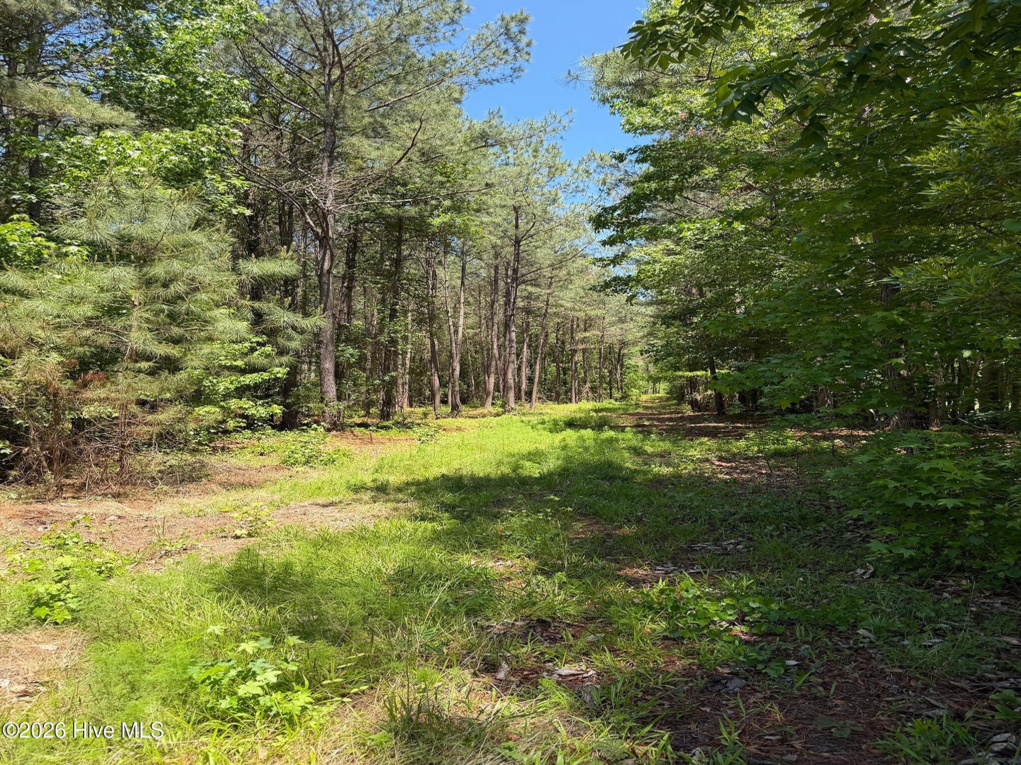 0 Tartt's Mill Road Wilson, NC 27893 - Photo 4 of 23 4