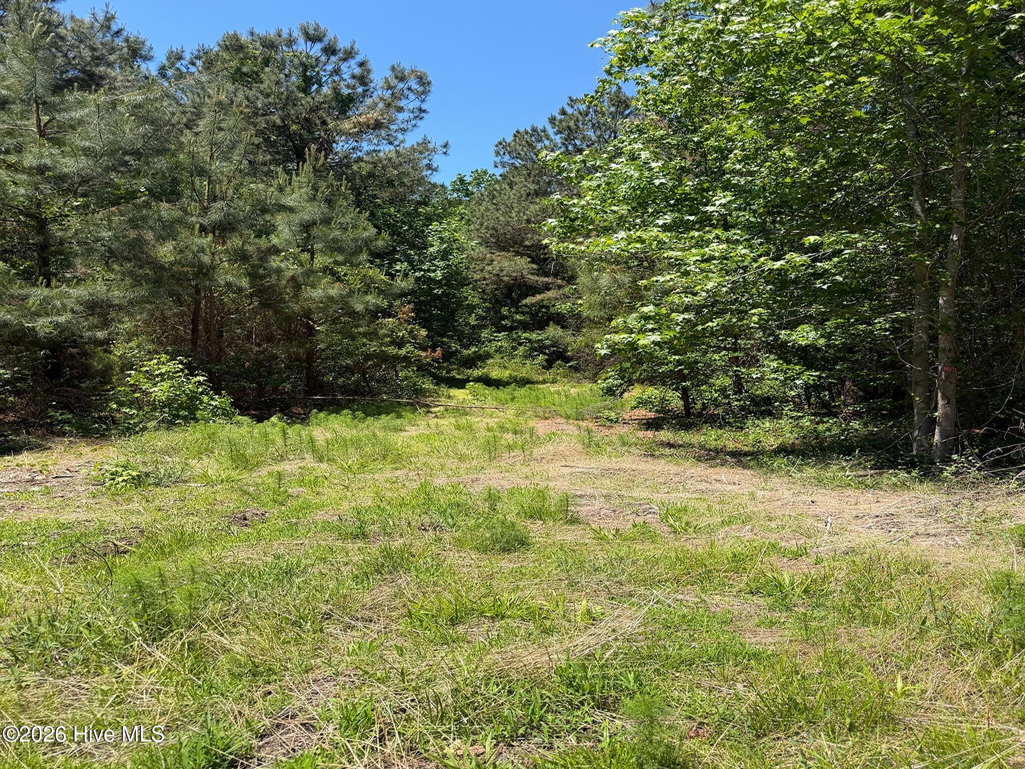 0 Tartt's Mill Road Wilson, NC 27893 - Photo 5 of 23 5