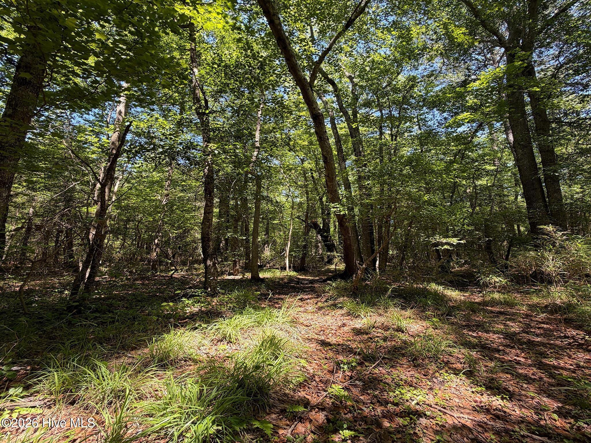 0 Tartt's Mill Road Wilson, NC 27893 - Photo 7 of 23 7