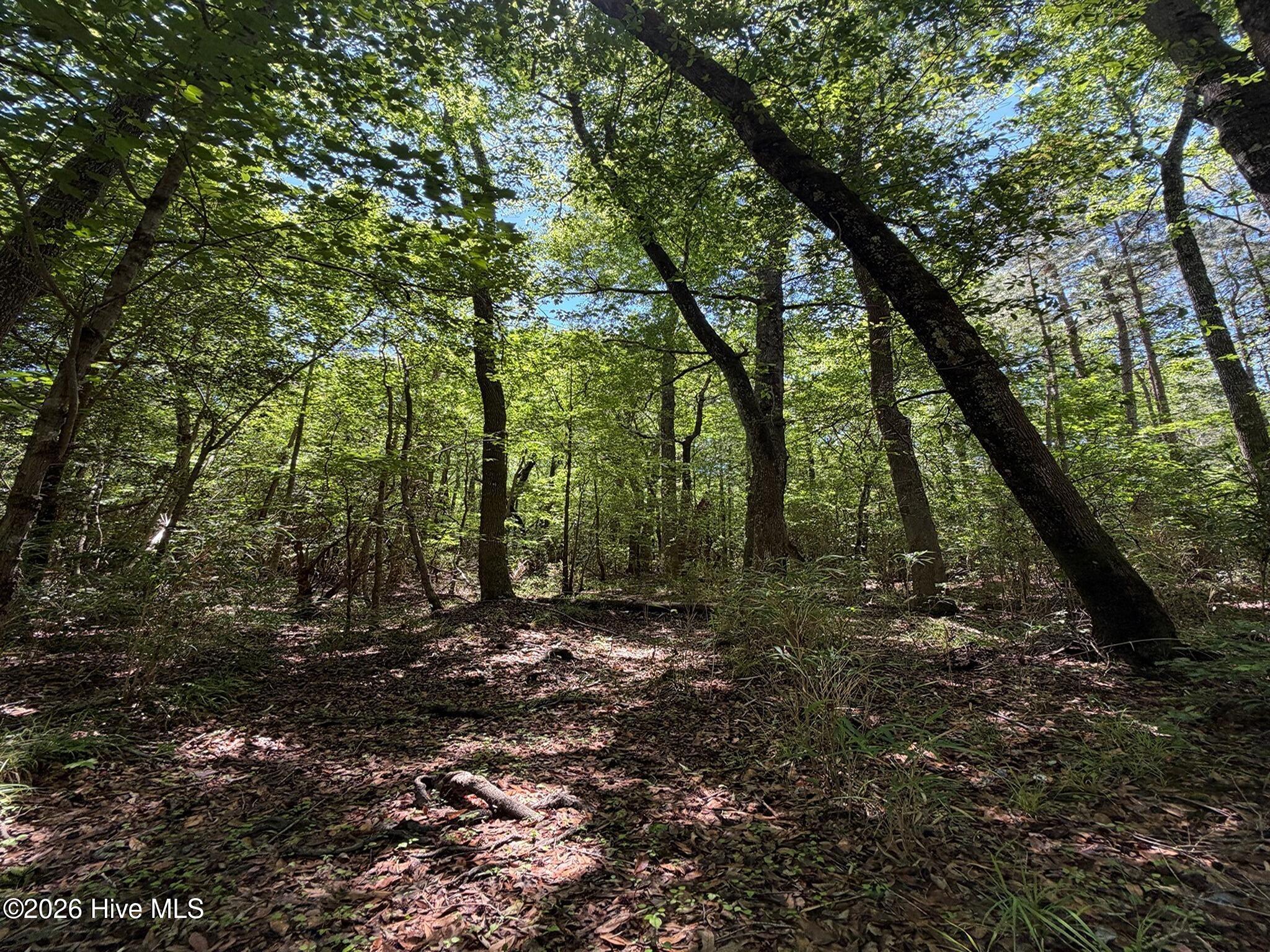 0 Tartt's Mill Road Wilson, NC 27893 - Photo 8 of 23 8