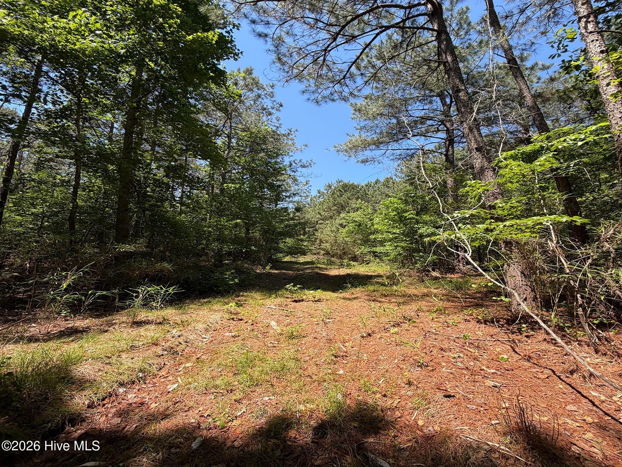 0 Tartt's Mill Road Wilson, NC 27893 - Photo 10 of 23 9(2)