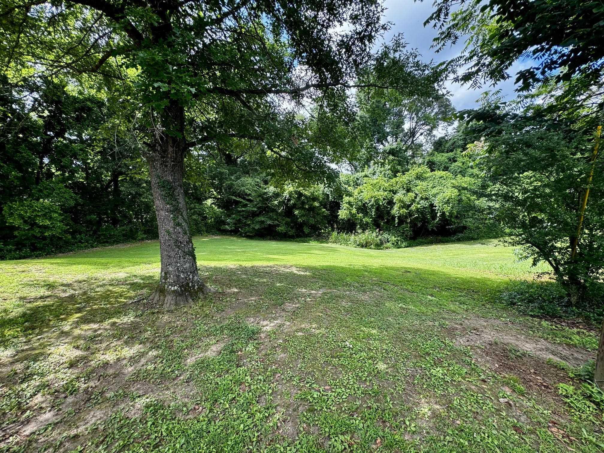 1079 Elm Grove Road Burlison, TN 38015 - Photo 8 of 31