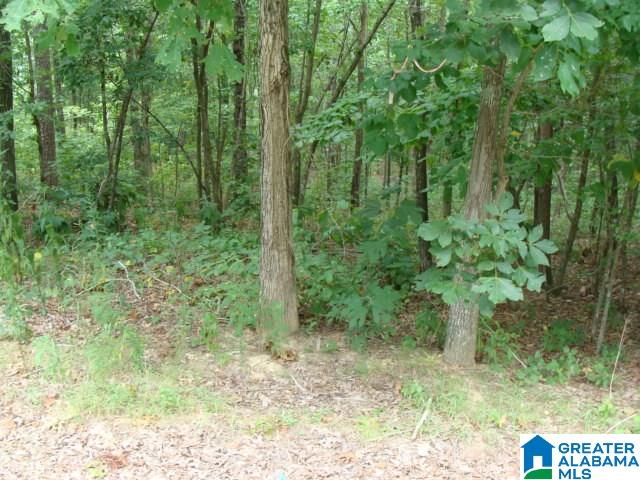 0 Alpine Circle, Unit 15 McCalla, AL 35111 - Photo 2 of 3
