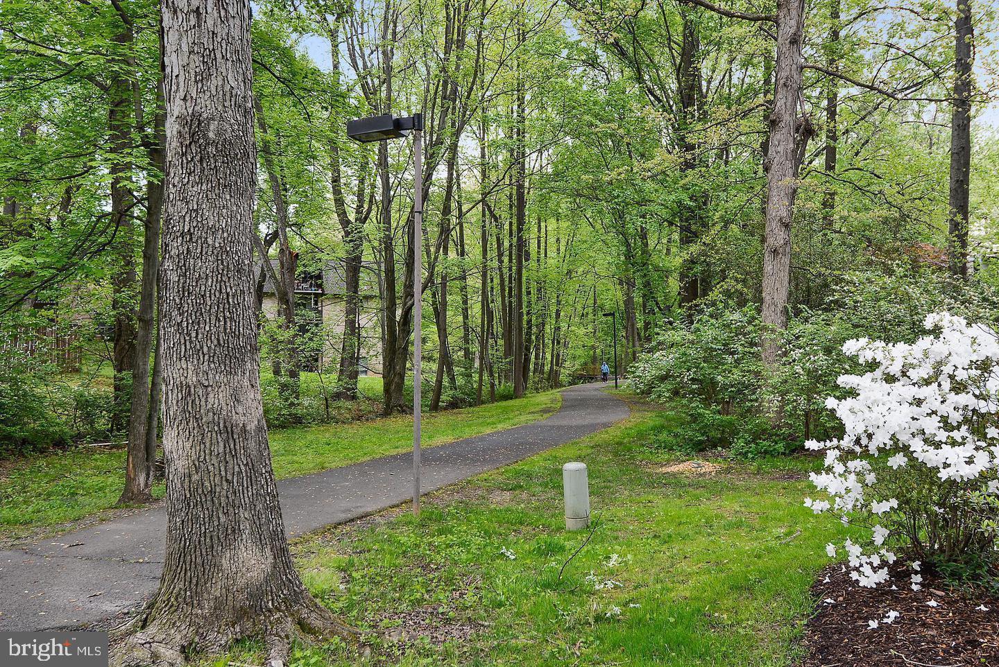 11620 Vantage Hill Road, Unit 11B Reston, VA 20190 - Photo 20 of 23