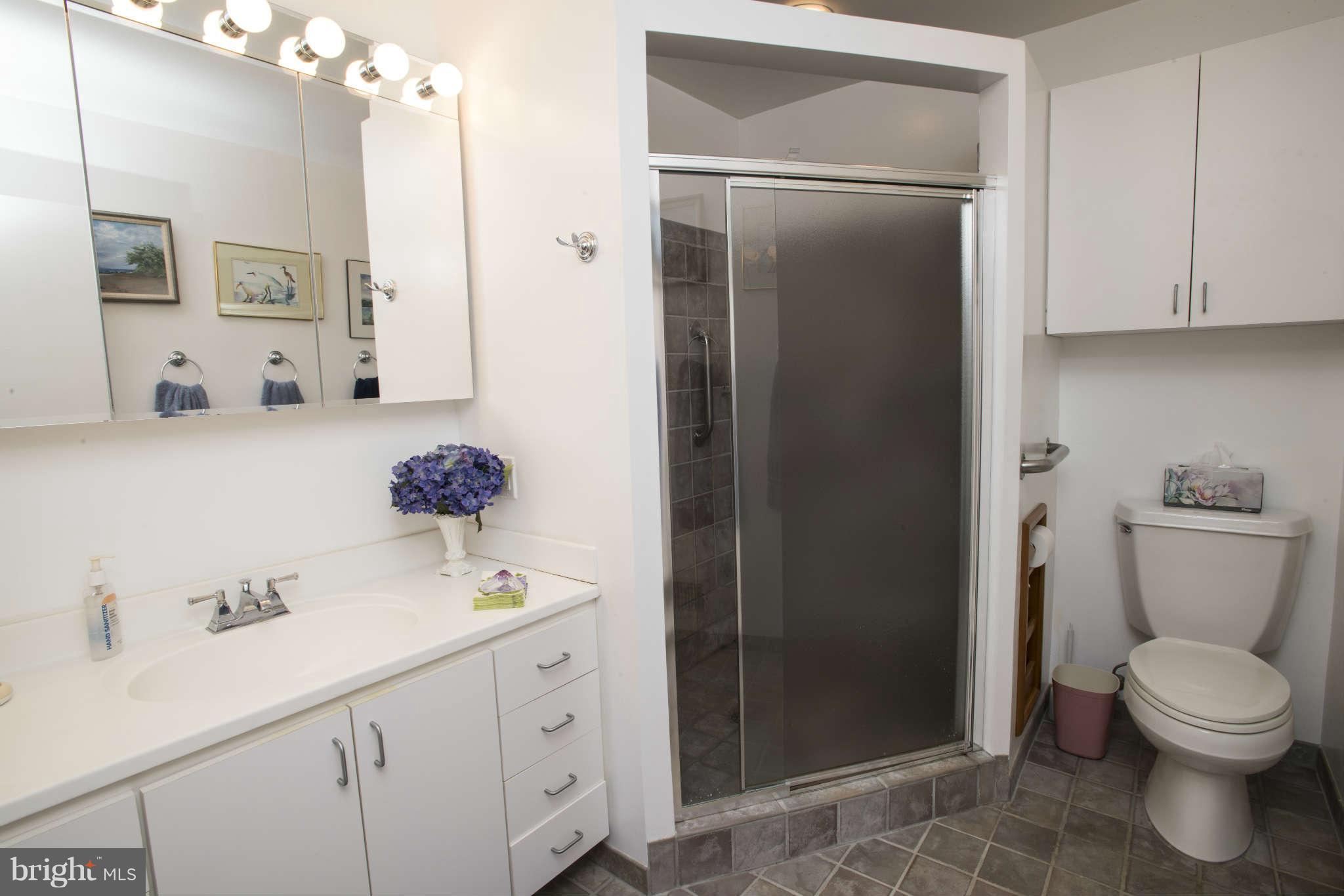 1135 Steamboat Road Shady Side, MD 20764 - Photo 13 of 16 Bath (Master)