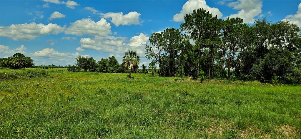 Mammoth Grove Rd Lake Lake Wales, FL 33898 - Photo 7 of 7