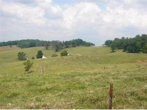 0 Buffalo Ridge Road, Unit 5 Gray, TN 37615 - Photo 1 of 2 Photo 1