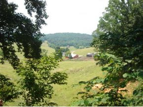 0 Buffalo Ridge Road, Unit 5 Gray, TN 37615 - Photo 2 of 2 Photo 2