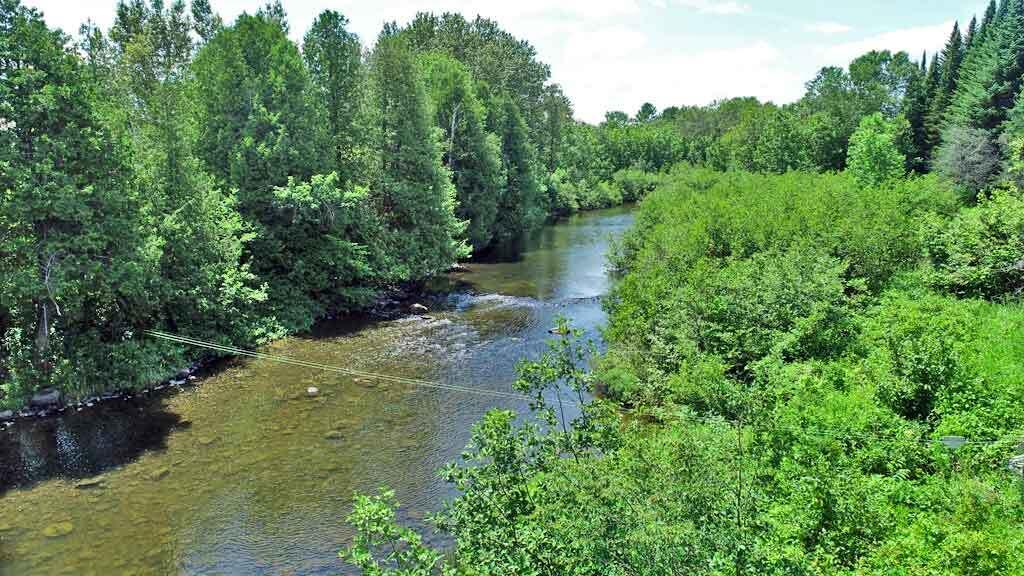 Lot 7 Drews Lake Road Houlton, ME 04730 - Photo 26 of 34 river-land-maine-farm