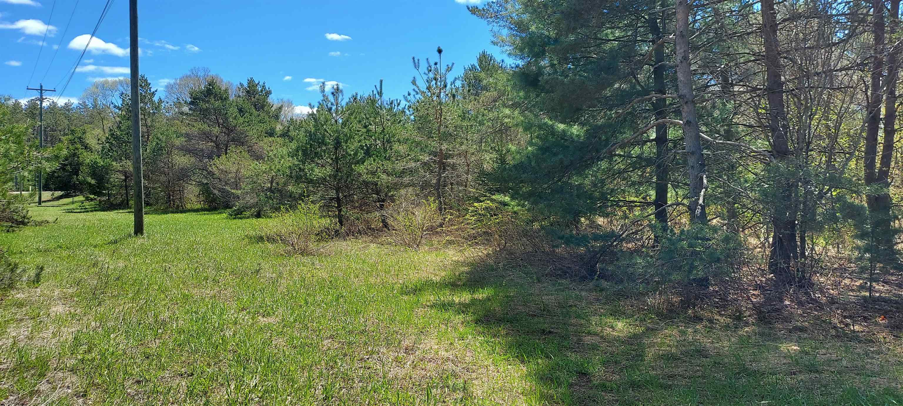 Tbd Johnson Road Mancelona, MI 49659 - Photo 3 of 5