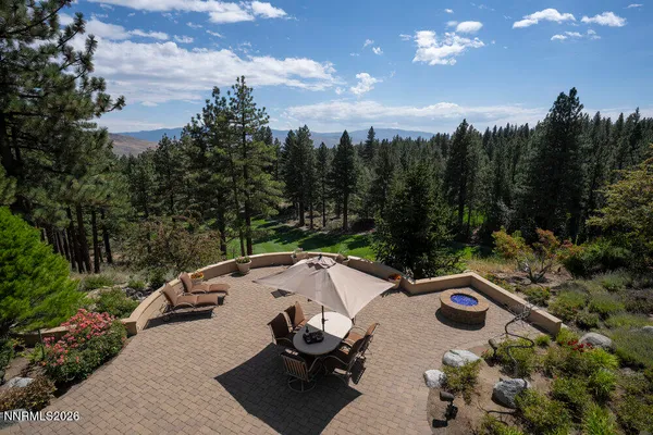 a view of a park with large trees