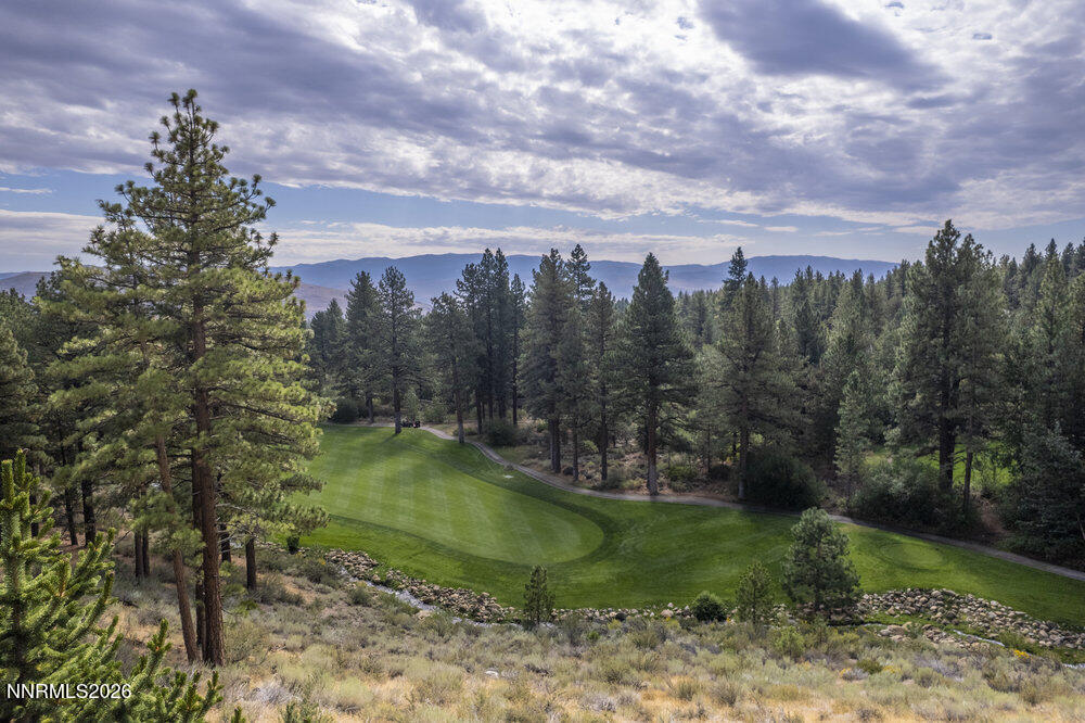 6065 Lake Geneva Drive Reno, NV 89511 - Photo 43 of 101 a view of a garden with a tree in the background