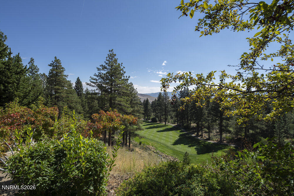 6065 Lake Geneva Drive Reno, NV 89511 - Photo 73 of 101 080_dsc05557_892