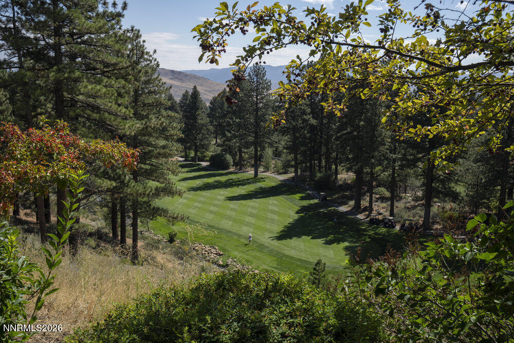 6065 Lake Geneva Drive Reno, NV 89511 - Photo 74 of 101 076_dsc05569_48