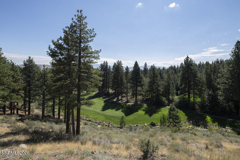 6065 Lake Geneva Drive Reno, NV 89511 - Photo 88 of 101 a view of a park with large trees