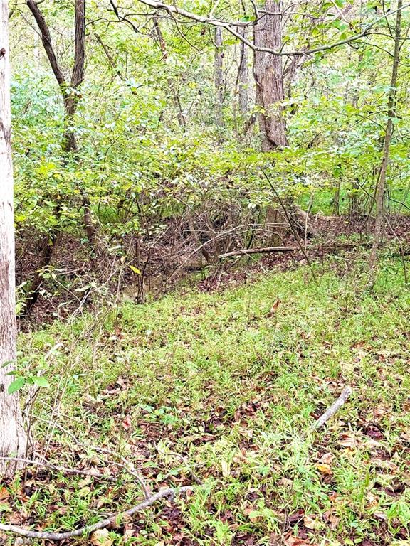 1517 Buffalo Road Sandy Ridge, NC 27046 - Photo 30 of 38