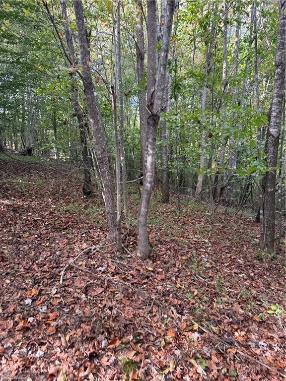 1517 Buffalo Road Sandy Ridge, NC 27046 - Photo 31 of 38