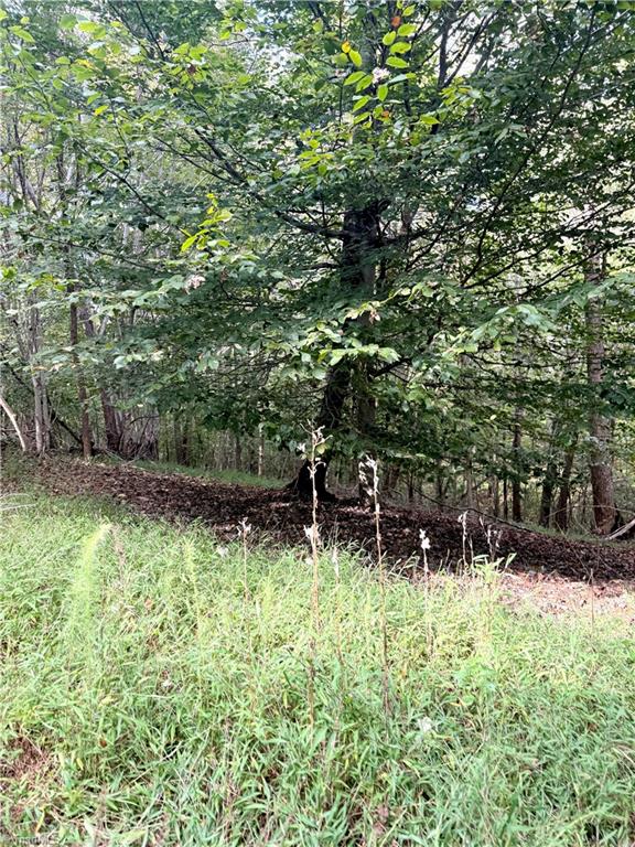 1517 Buffalo Road Sandy Ridge, NC 27046 - Photo 32 of 38