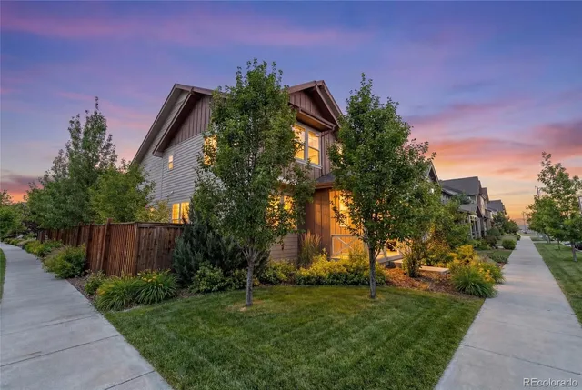 a view of a yard with plants and a large tree