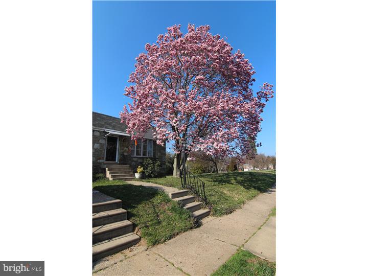 546 Wanamaker Road Jenkintown, PA 19046 - Photo 20 of 20 Gallery Image 20