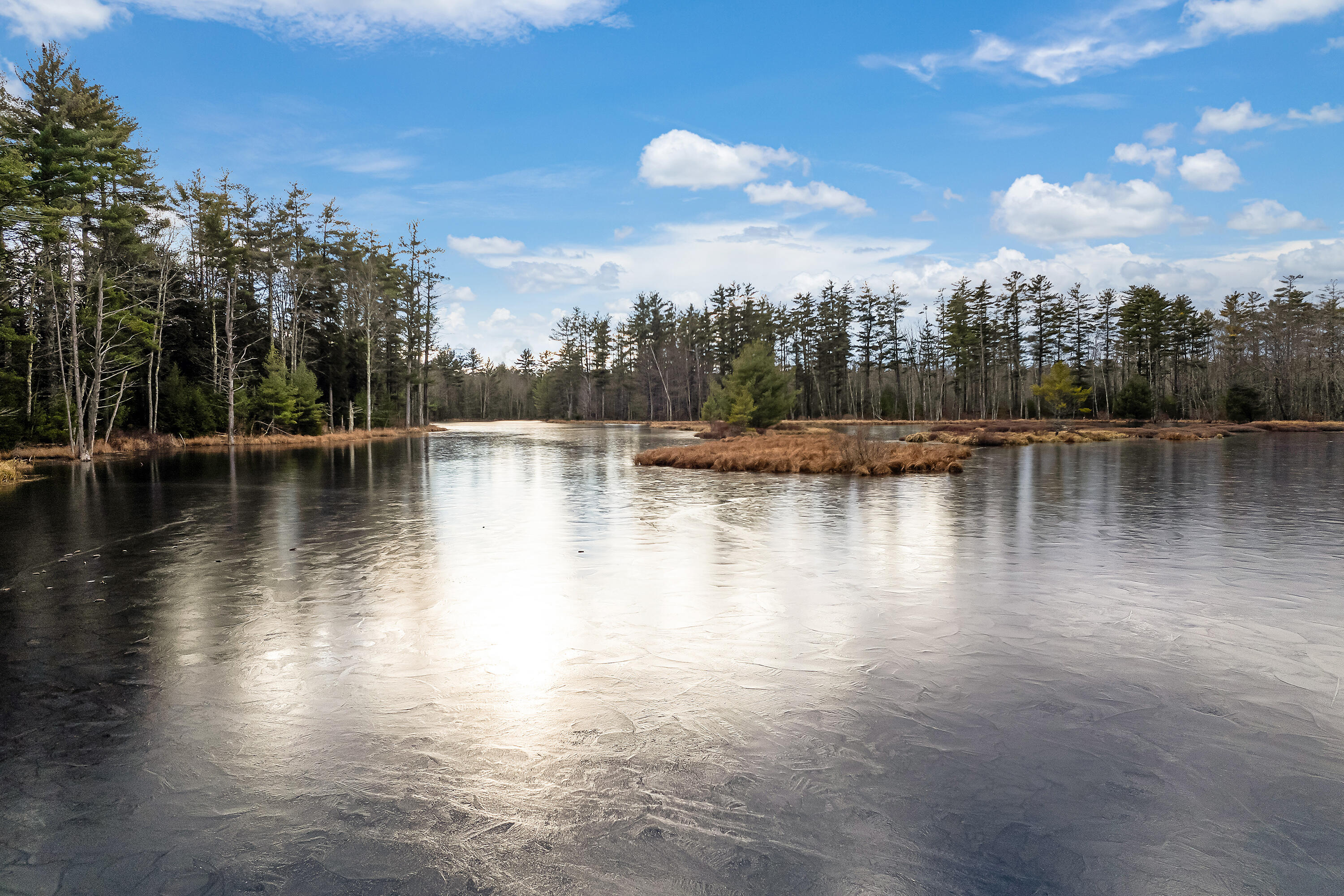 Tbd Ali Pond Road, Unit LOT 7 Berwick, ME 03901 - Photo 4 of 15 Lot 7 Woodland Pond Estates, Berwick