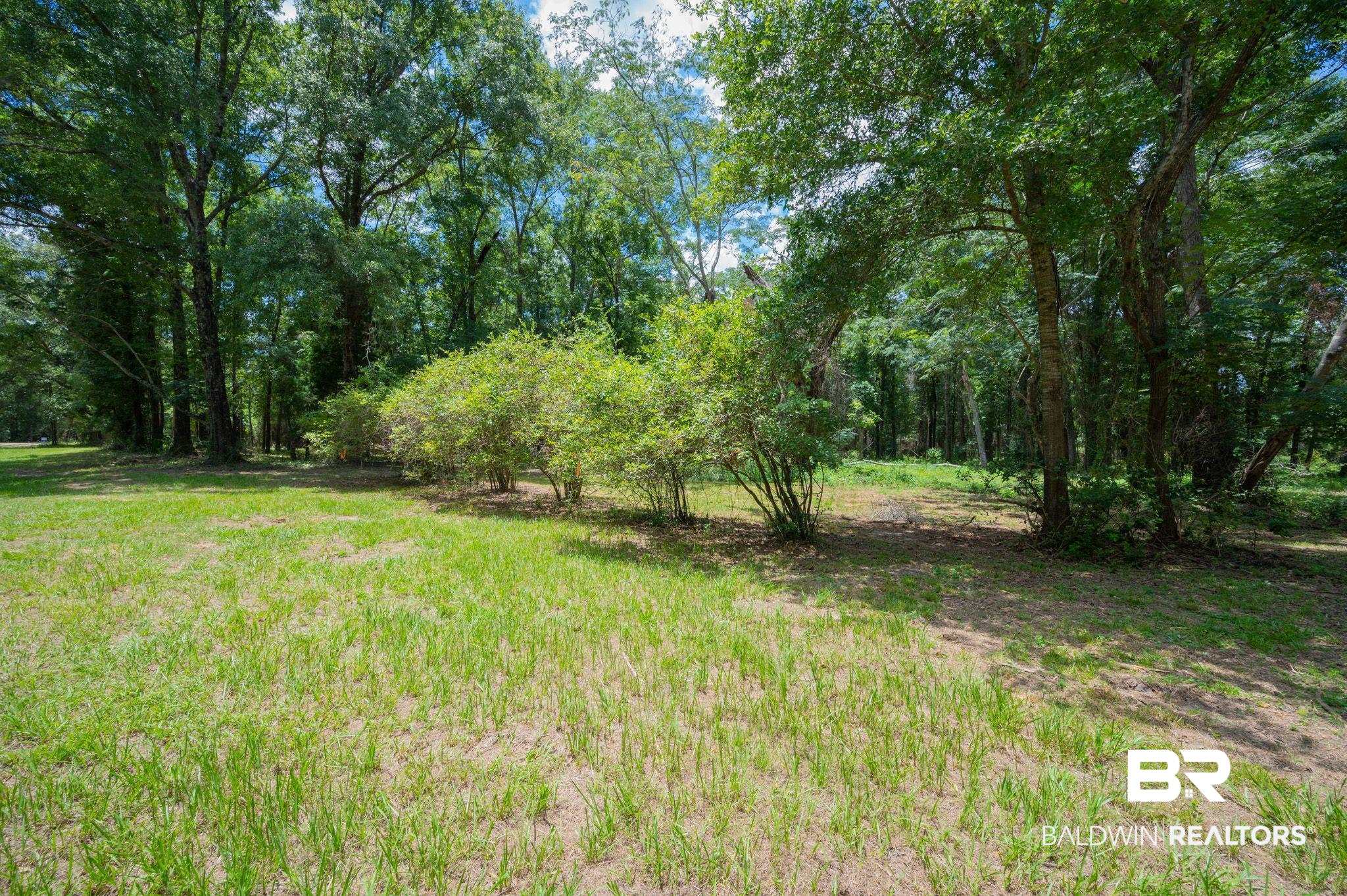 0 Hurricane Road Bay Minette, AL 36507 - Photo 18 of 30