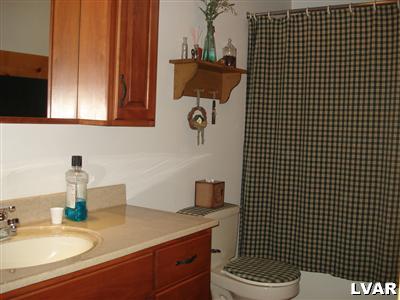 500 Point Phillips Road Bath, PA 18014 - Photo 17 of 31 a bathroom with a sink a toilet and shower