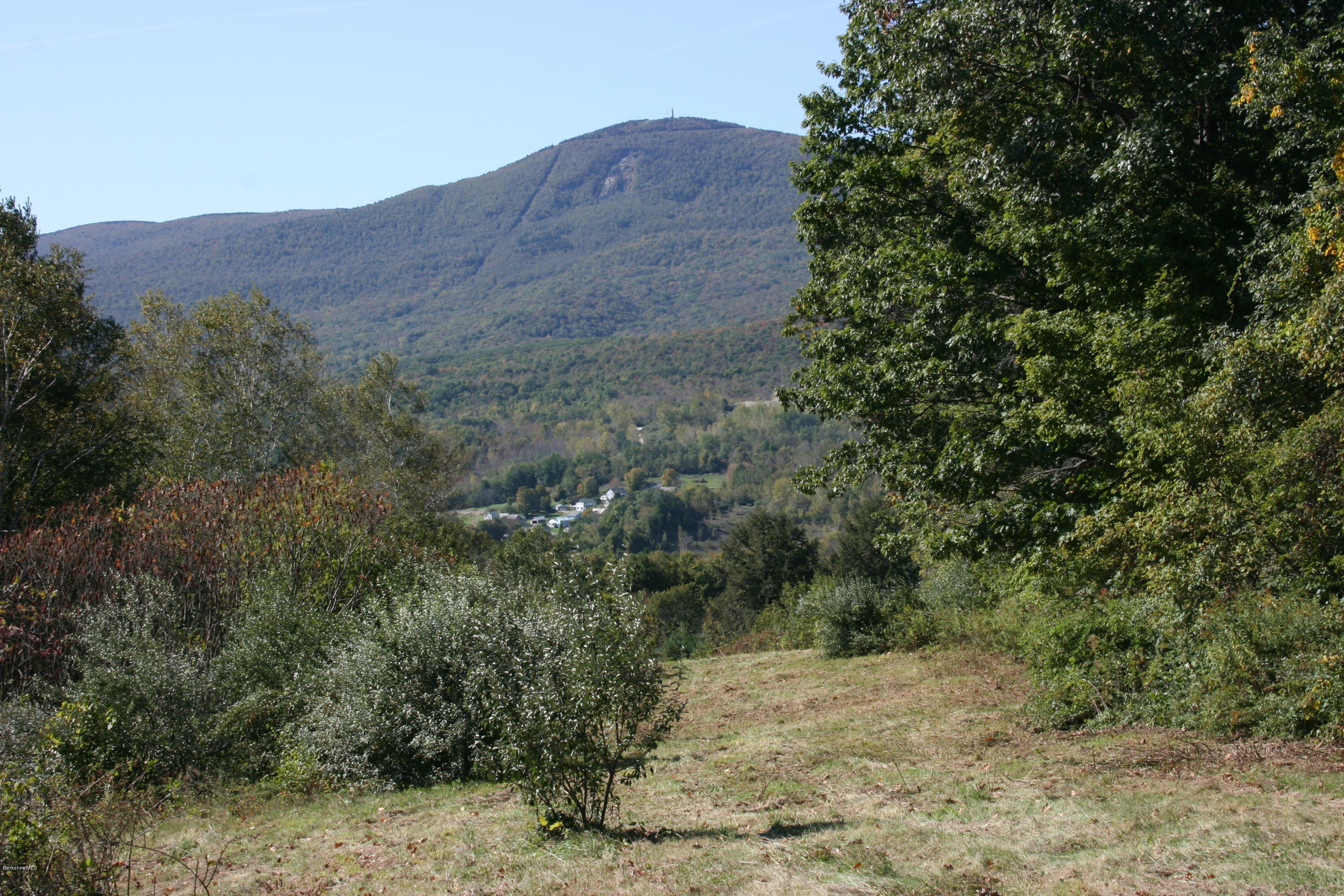 a view of a dry yard with trees in the background
