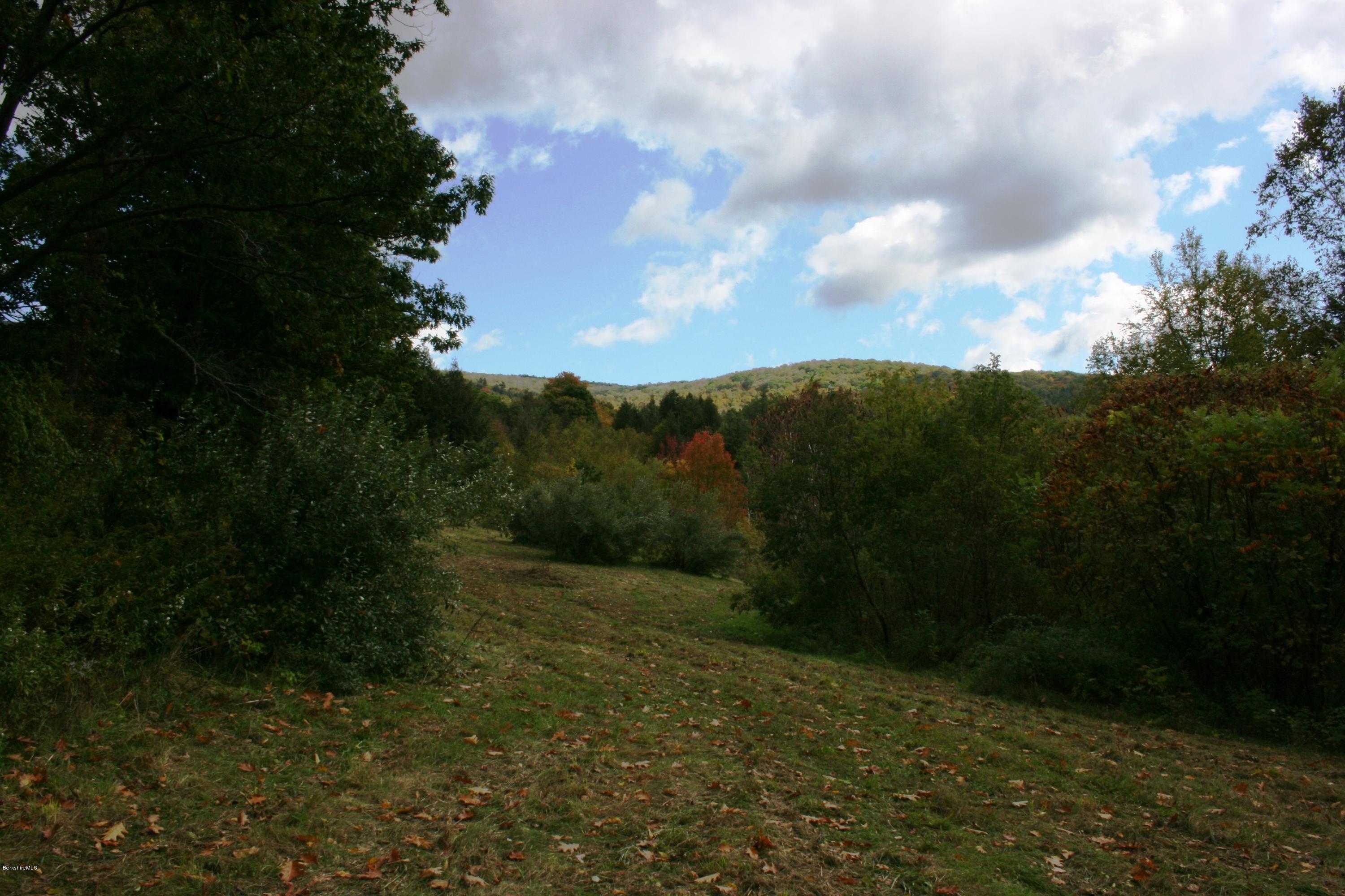 East Road Adams, MA 01220 - Photo 2 of 5 a view of a pathway with a garden
