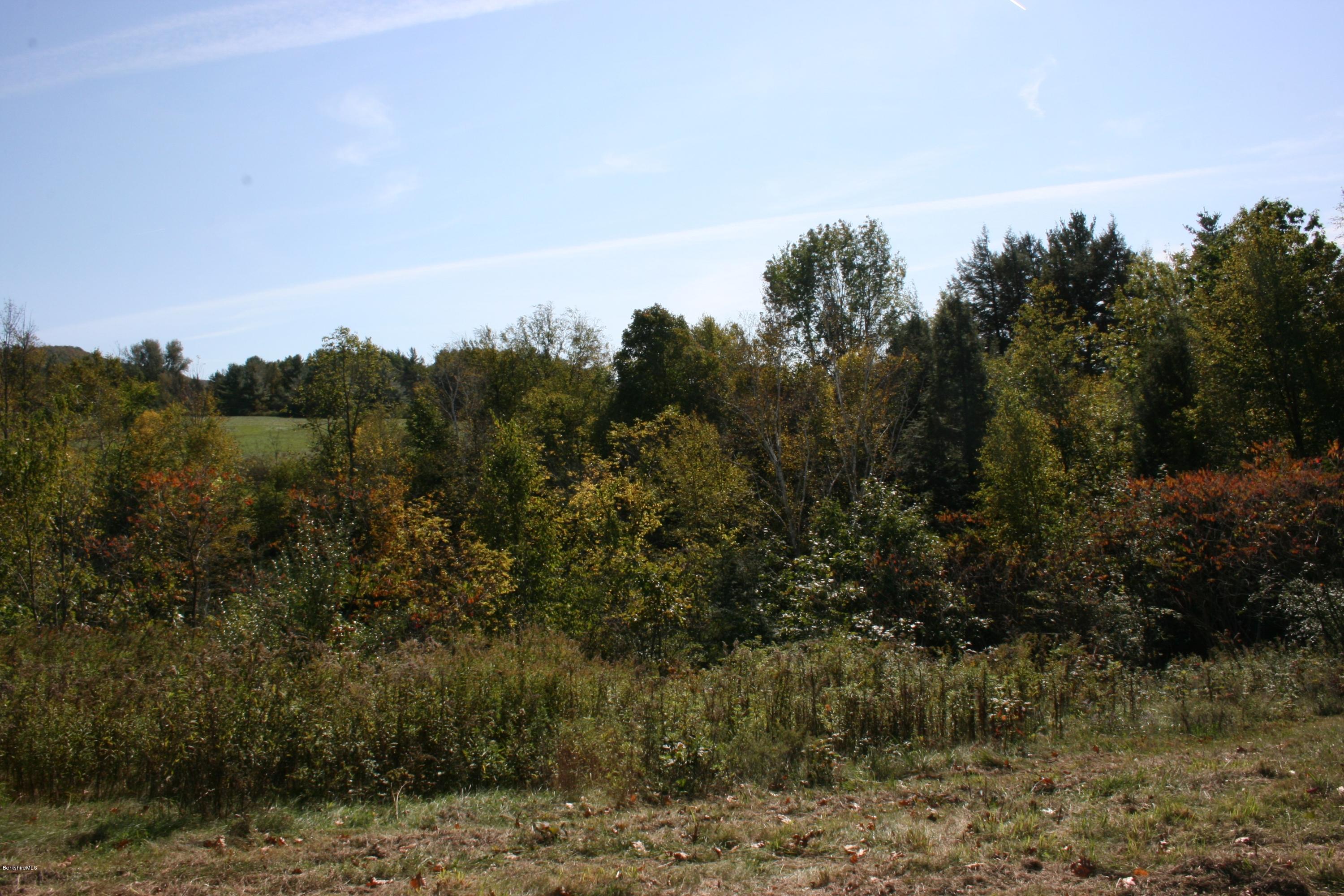 East Road Adams, MA 01220 - Photo 3 of 5 a view of a yard