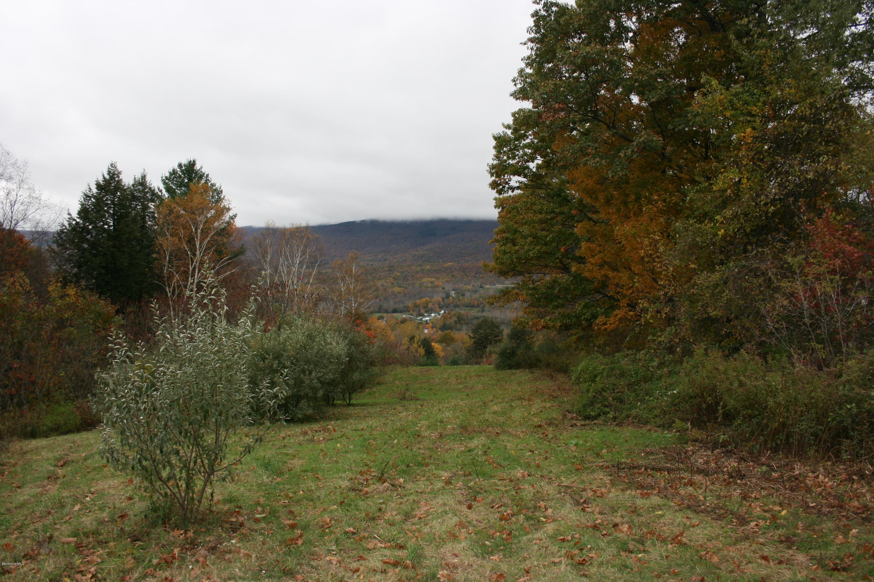 East Road Adams, MA 01220 - Photo 5 of 5 a view of a field with an trees