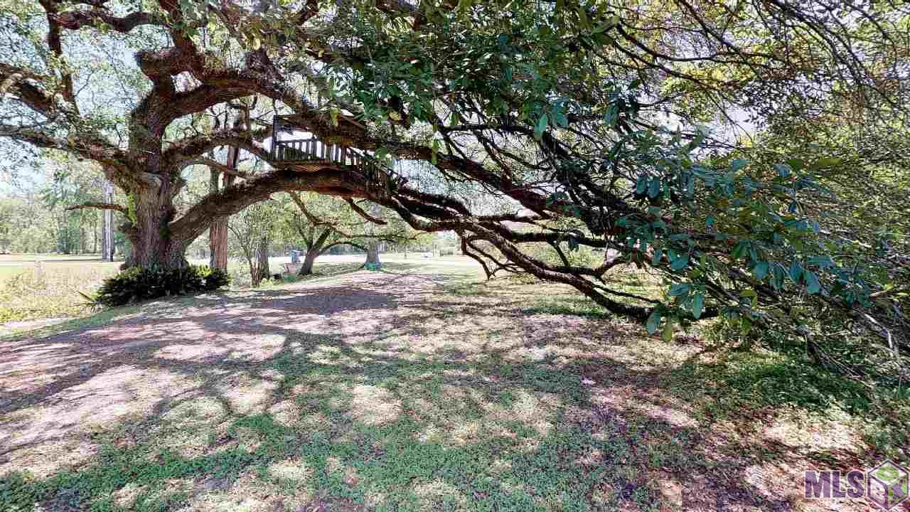 13081 Bluff Road Geismar, LA 70734 - Photo 3 of 24 Gallery Image 3