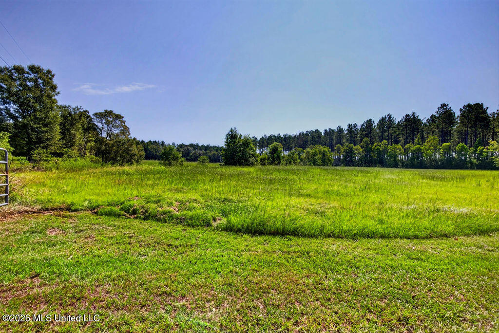 847 City Bridge Road Perkinston, MS 39573 - Photo 14 of 65 847CityBridgeRd-14