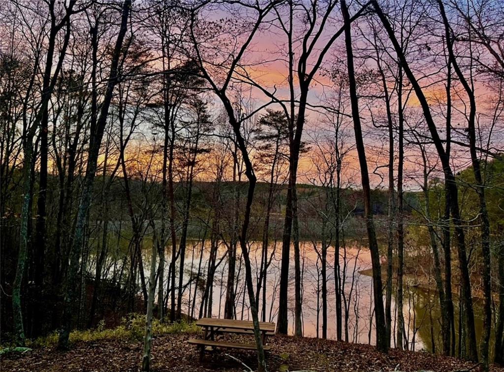 6592 Huckleberry Lane Lula, GA 30554 - Photo 39 of 43