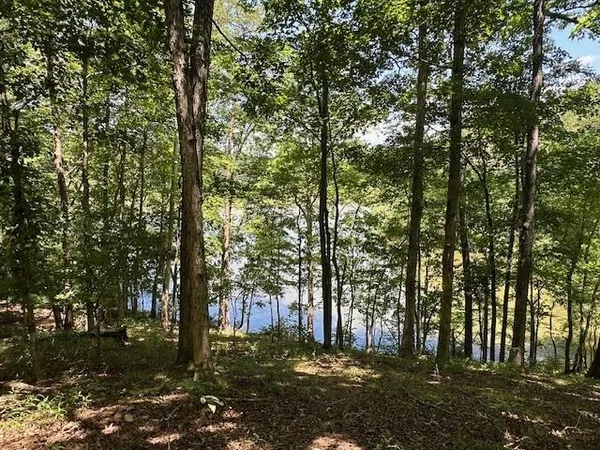a view of lake