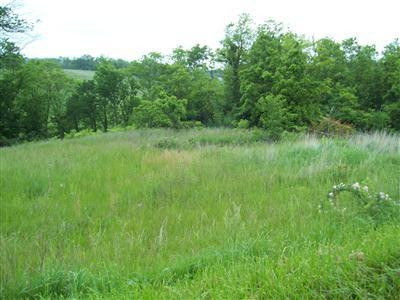 0 Eckler Road Dry Ridge, KY 41035 - Photo 1 of 1