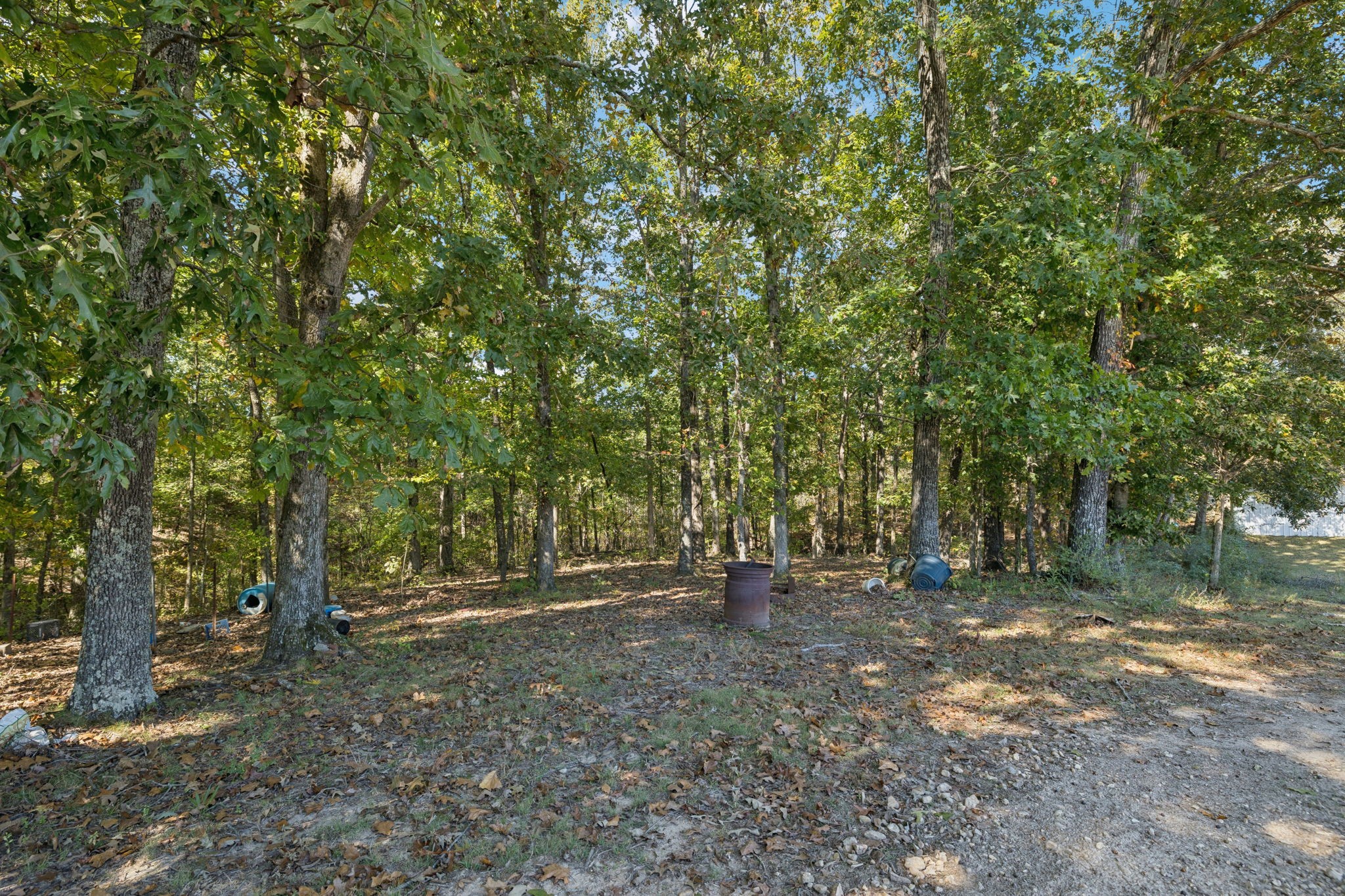 240 Hurst Road Hohenwald, TN 38462 - Photo 64 of 76 a view of outdoor space with large trees