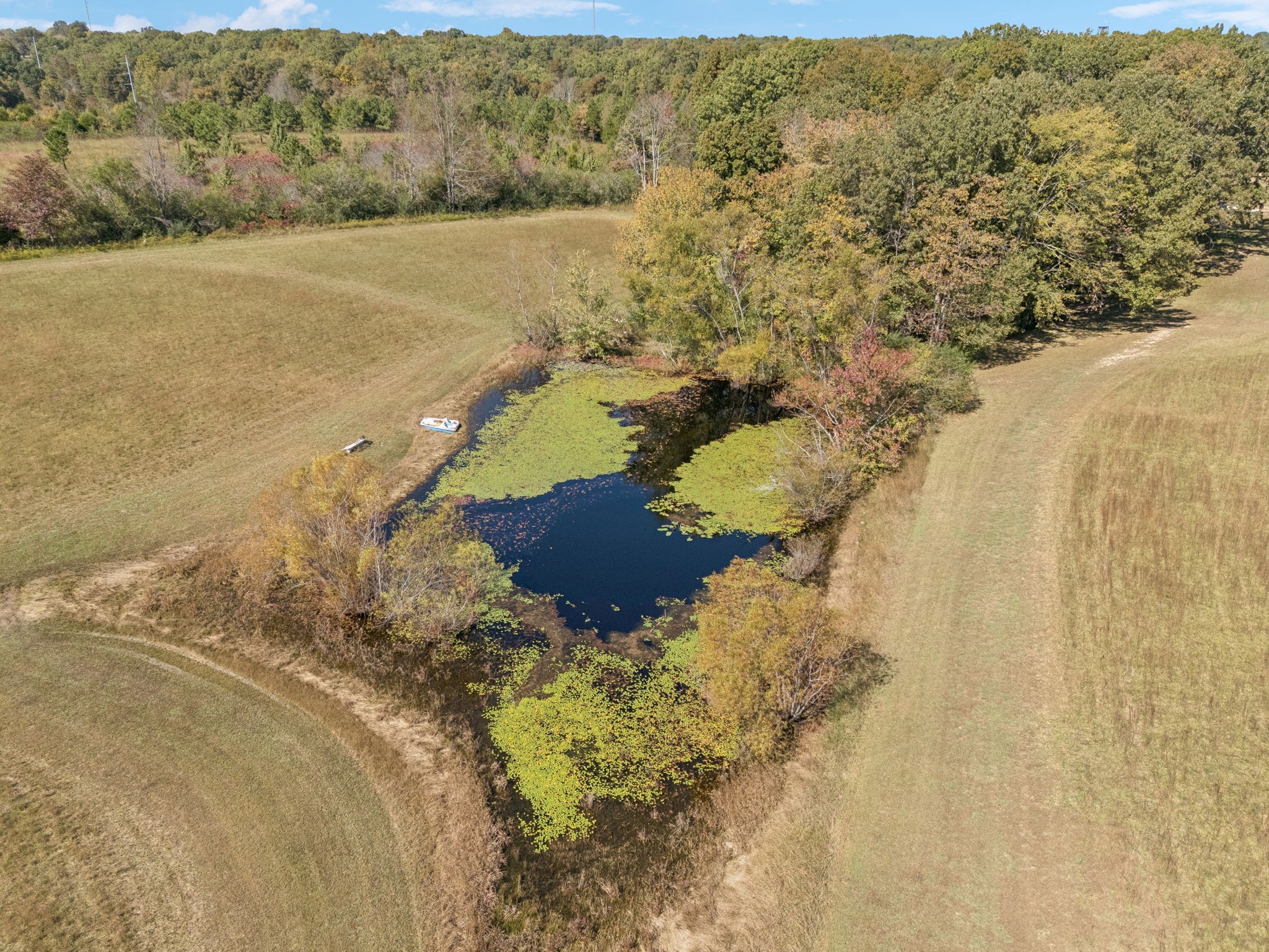 240 Hurst Road Hohenwald, TN 38462 - Photo 73 of 76 a view of lake and mountain
