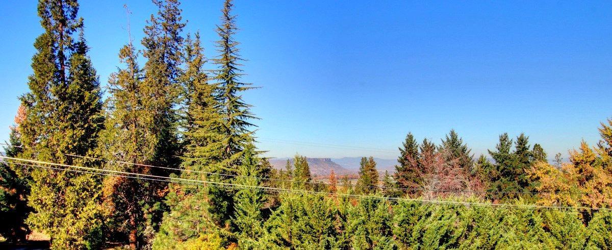 3788 Old Military Road Central Point, OR 97502 - Photo 22 of 29 a view of a city