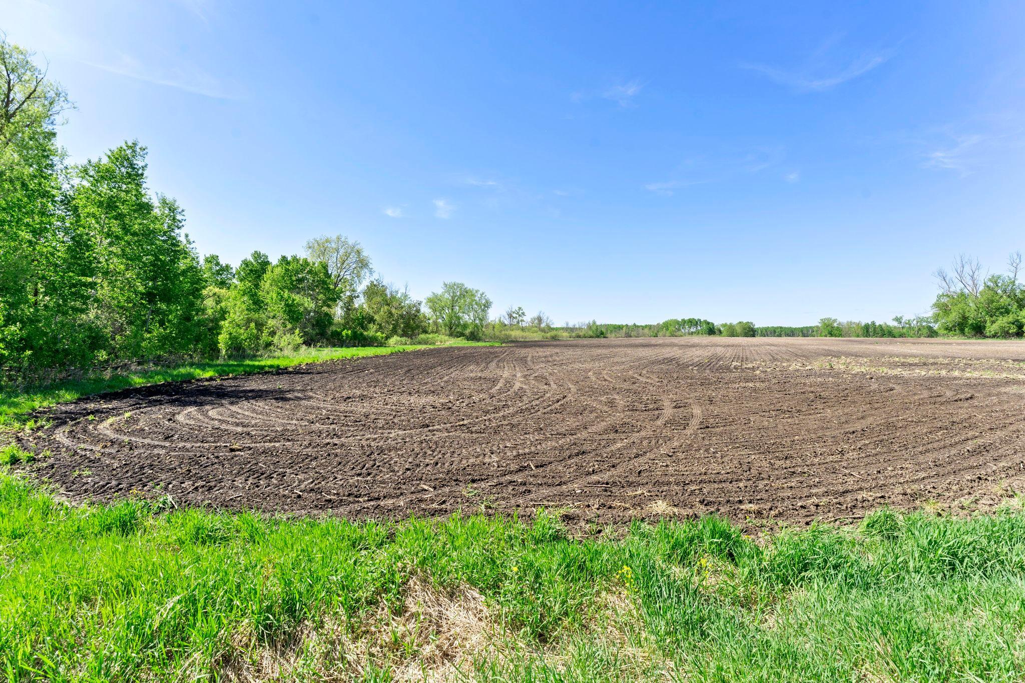 0 Xenon Road Northwest Dalbo, MN 55017 - Photo 10 of 29